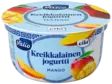 KREIKKALAINEN JOGURTTI MANGO - Jogurtit - 6408430408221 - 1