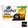 PROTEENIRAHKA MANGO-VANILJA - Viilit / Vanukkaat - 6408430407361 - 1