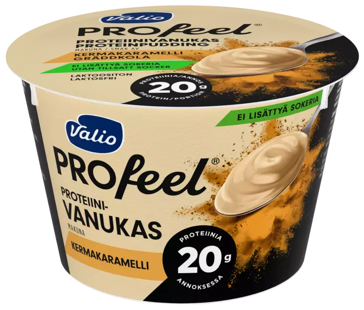 PROTEIINIVANUKAS KERMAKARAMELLI - Viilit / Vanukkaat - 6408430407682 - 1