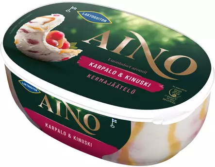 AINO KARPALO & KINUSKI LAKTOOSITON - Jäätelöpakkaukset - 6430064400753 - 1