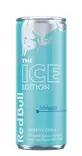 RED BULL ENERGY DRINK WINTER - Energiajuomat - 90457104 - 1