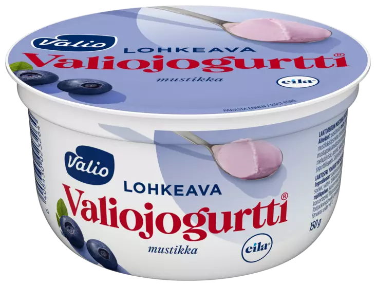 LOHKEAVA JOGURTTI MUSTIKKA VALIO - Jogurtit - 6408430023264 - 1