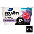 PROFEEL KUNINGATAR VALIO - Viilit / Vanukkaat - 6408430407705 - 1