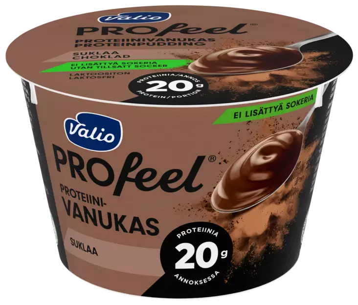 PROTEIINIVANUKAS SUKLAA - Viilit / Vanukkaat - 6408430407675 - 1