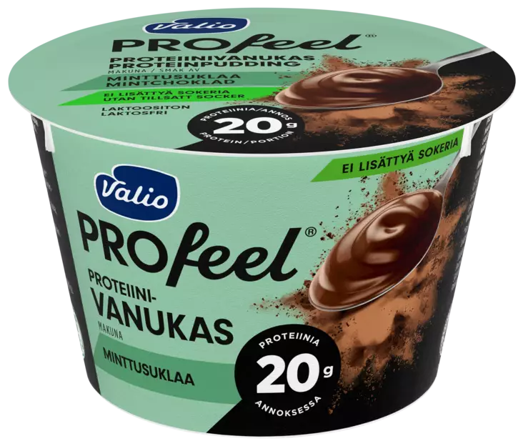 PROTEIINIVANUKAS MINTTUSUKLAA - Viilit / Vanukkaat - 6408430408146 - 1
