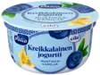 KREIKKALAINEN JOGURTTI MUSTIKKA - Jogurtit - 6408430025237 - 1