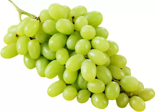 RYPÄLE VIHREÄ 500G - Hedelmäsäilykkeet - 6408643169667 - 1